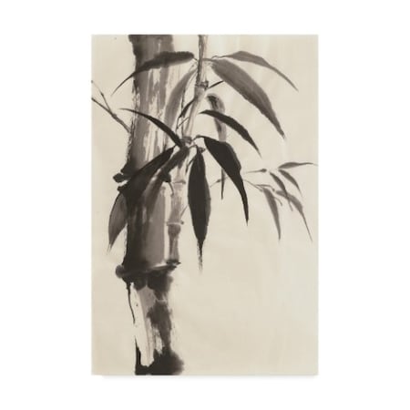 Chris Paschke 'Sumi Bamboo Cream' Canvas Art,22x32